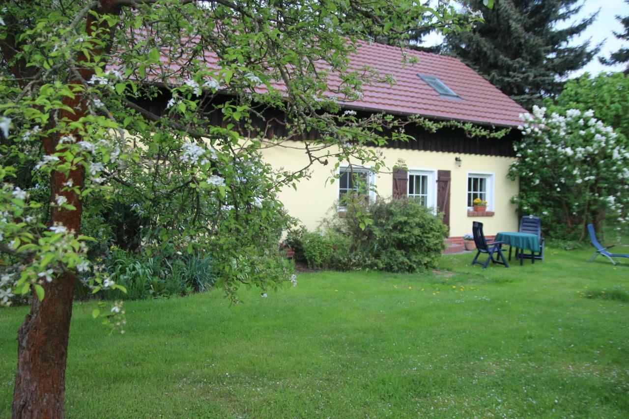 Ferienwohnung Weidengrund Burg Kauper Byhlen Exterior foto